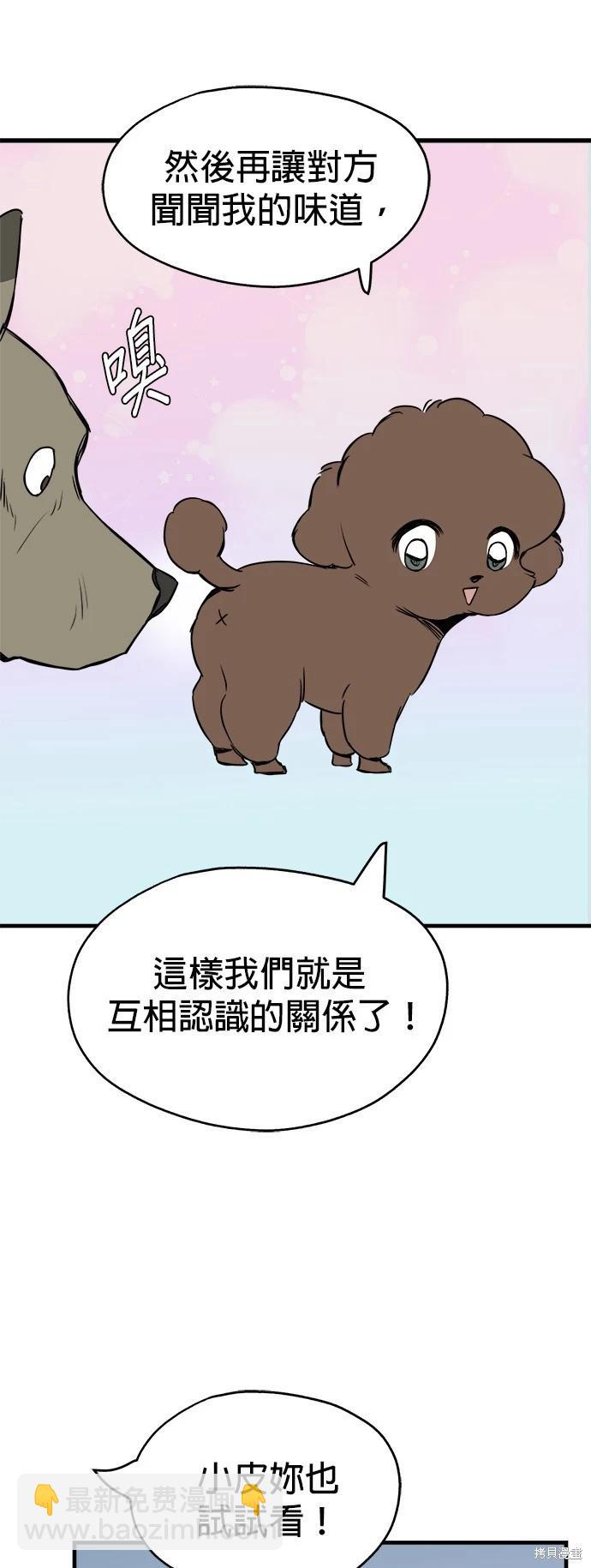🍸狗狗末日生存法 第11话 第37页