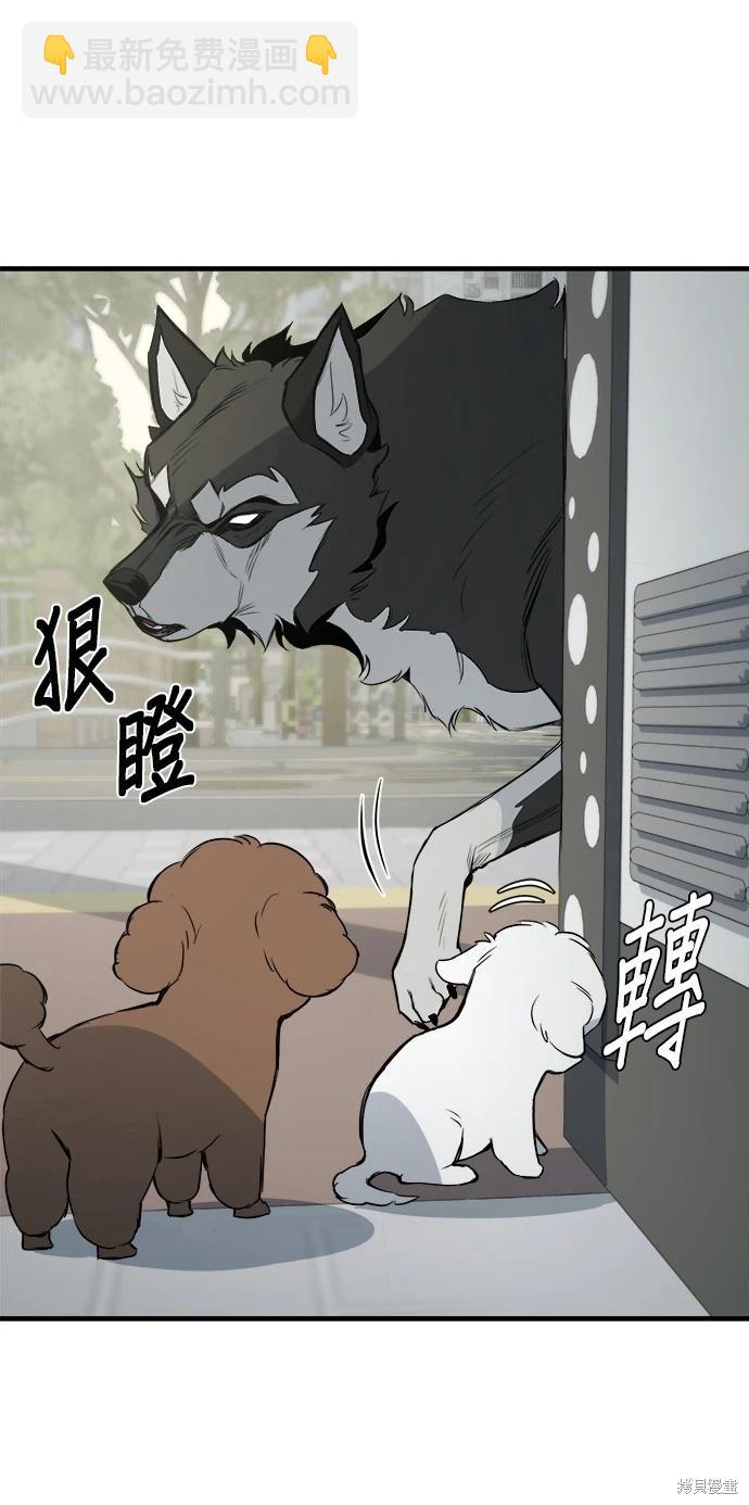🍸狗狗末日生存法 第11话 第9页