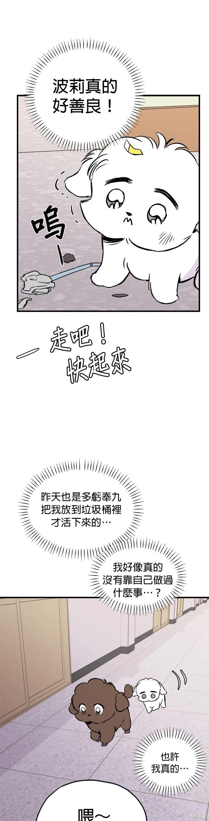 🍸狗狗末日生存法 第13话 第21页