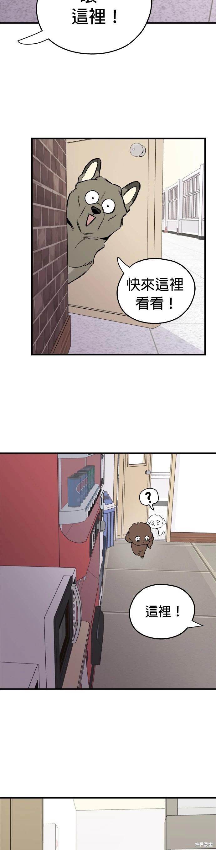 🍸狗狗末日生存法 第13话 第22页