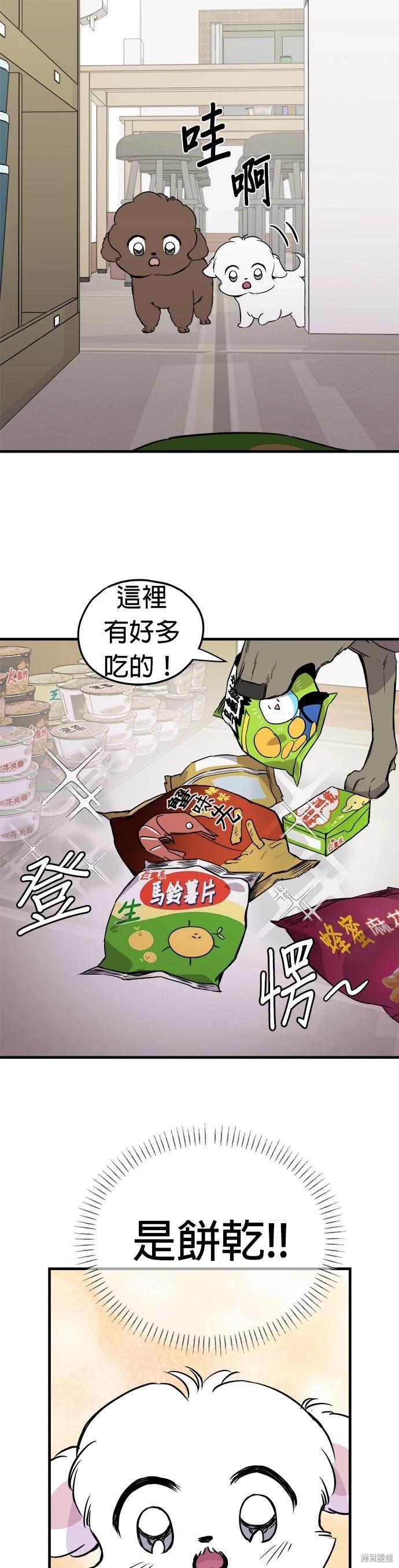 🍸狗狗末日生存法 第13话 第23页
