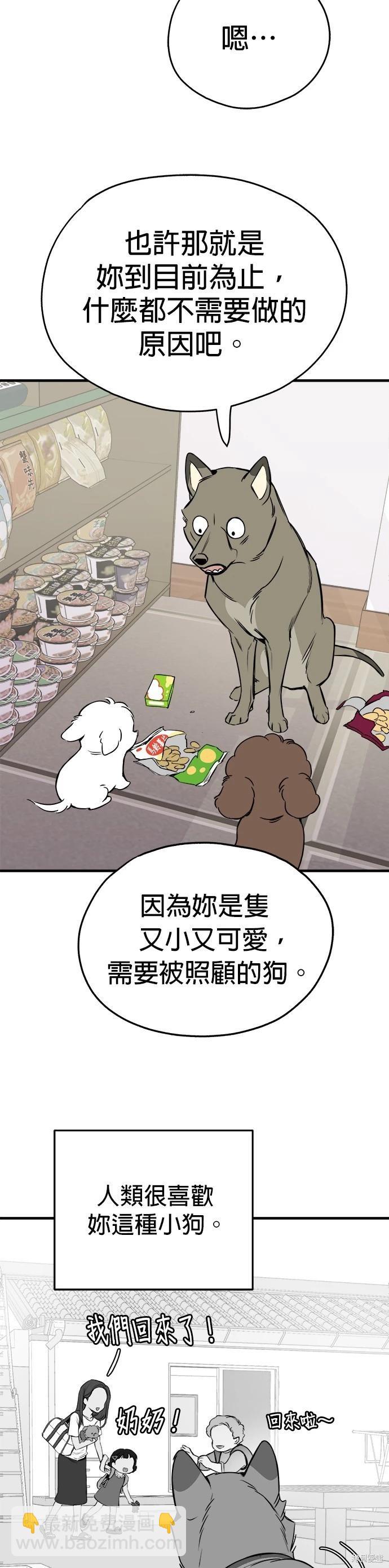 🍸狗狗末日生存法 第13话 第31页