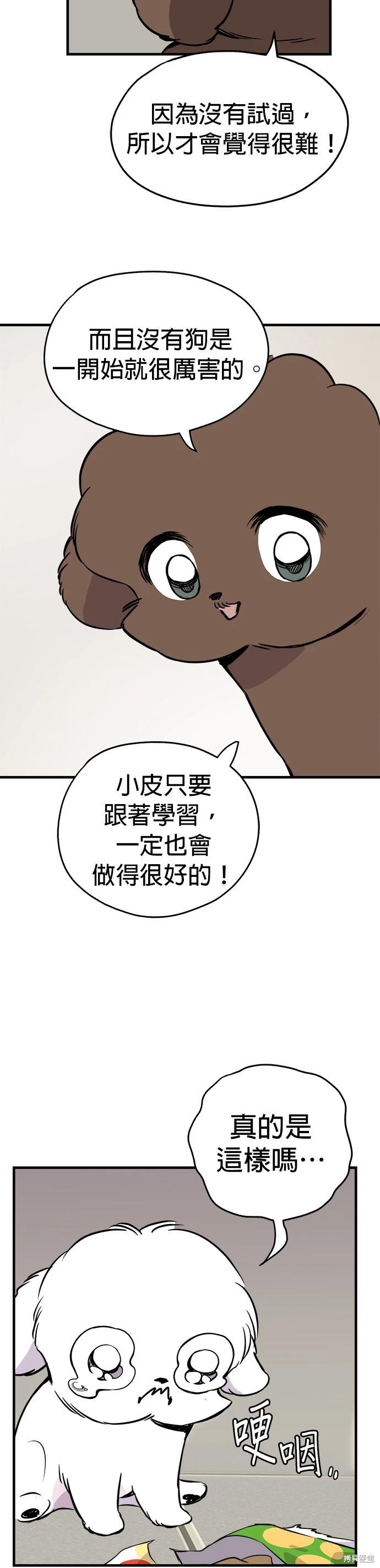 🍸狗狗末日生存法 第13话 第35页