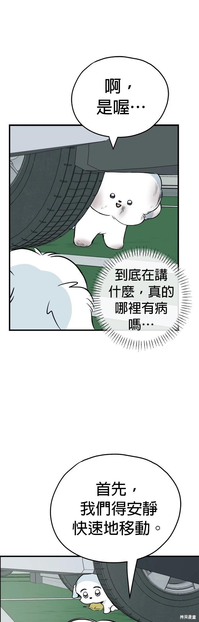 🍸狗狗末日生存法 第15话 第13页