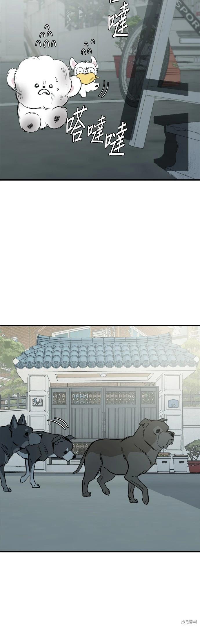 🍸狗狗末日生存法 第15话 第17页