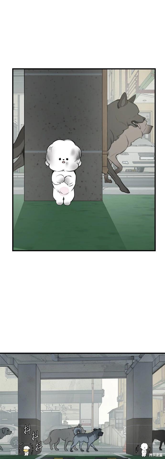 🍸狗狗末日生存法 第15话 第19页
