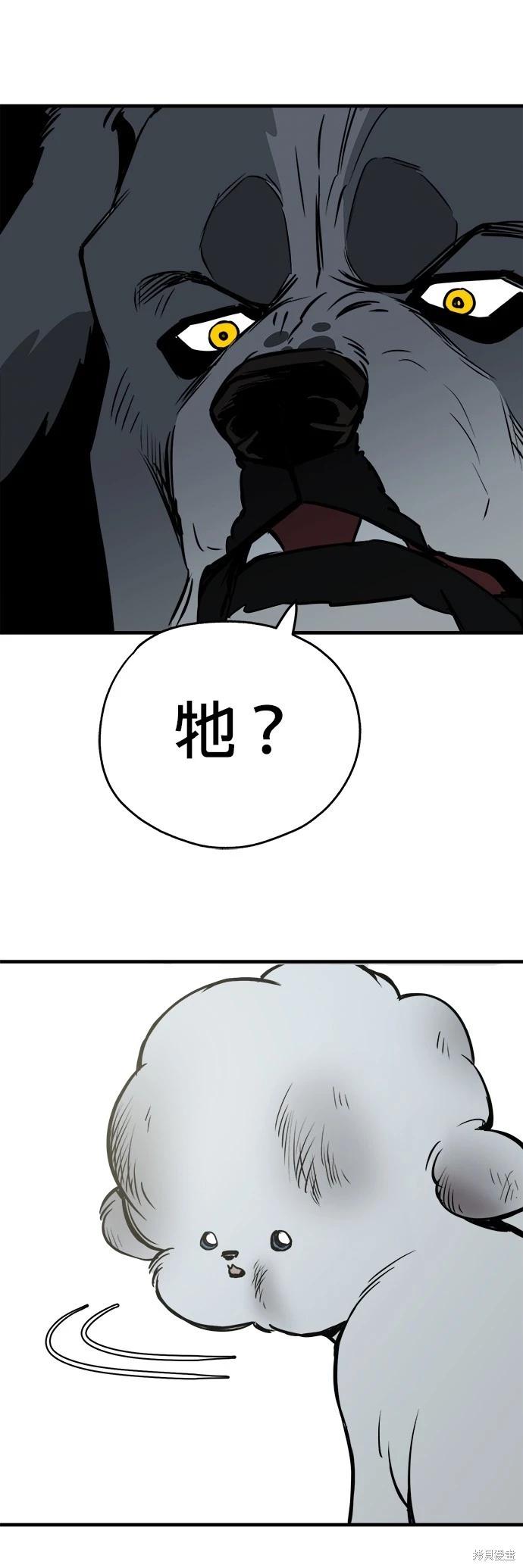🍸狗狗末日生存法 第15话 第27页