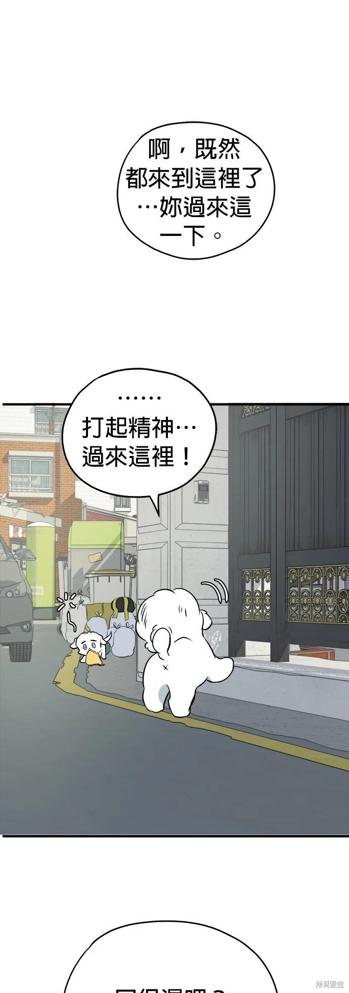 🍸狗狗末日生存法 第15话 第34页