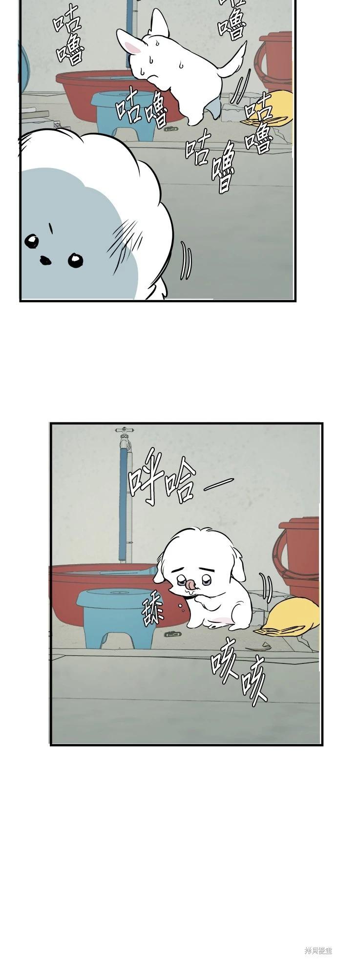 🍸狗狗末日生存法 第15话 第36页