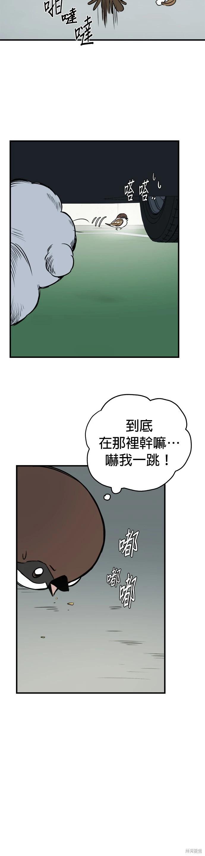 🍸狗狗末日生存法 第15话 第4页