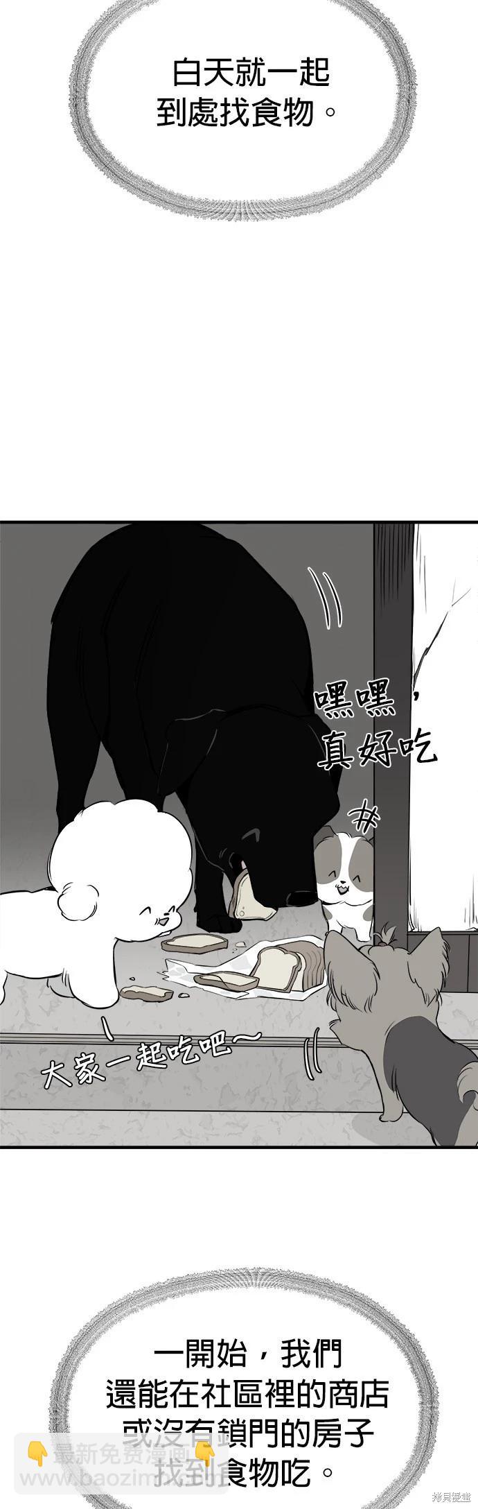 🍸狗狗末日生存法 第15话 第47页