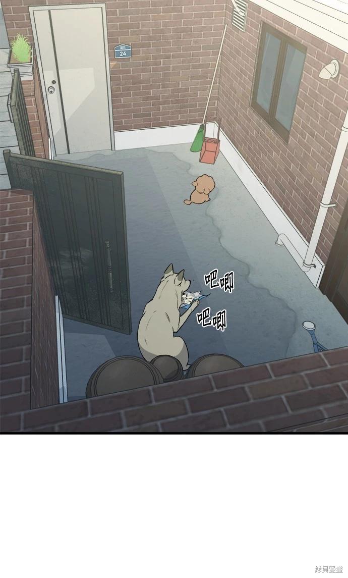 🍸狗狗末日生存法 第17话 第16页