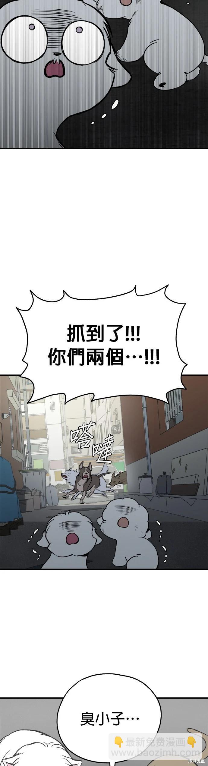 🍸狗狗末日生存法 第17话 第17页