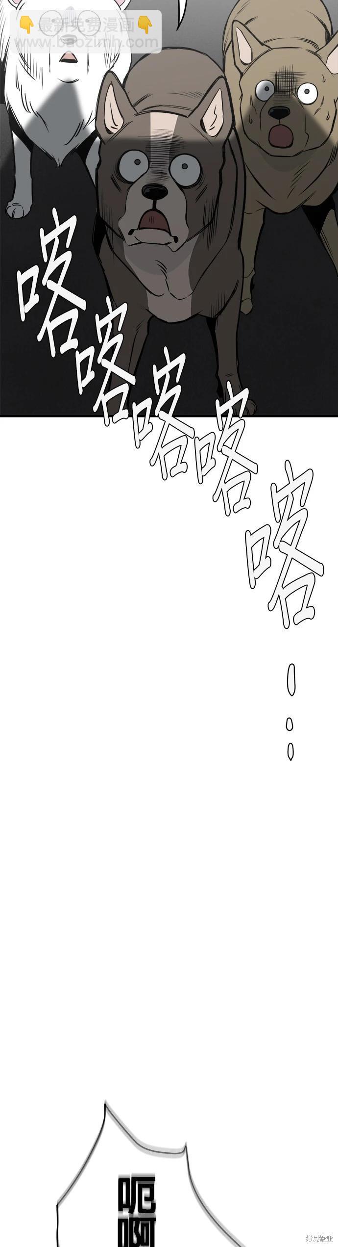 🍸狗狗末日生存法 第17话 第19页