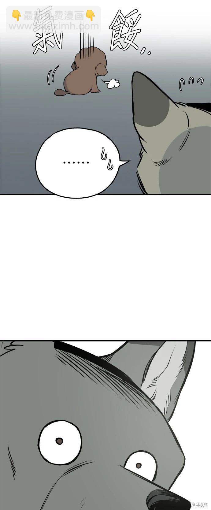 🍸狗狗末日生存法 第17话 第41页