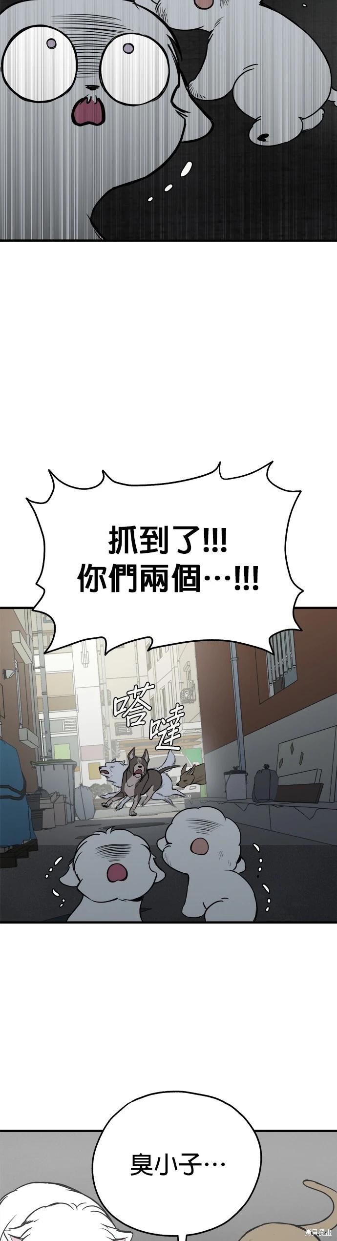 🍸狗狗末日生存法 第17话 第6页