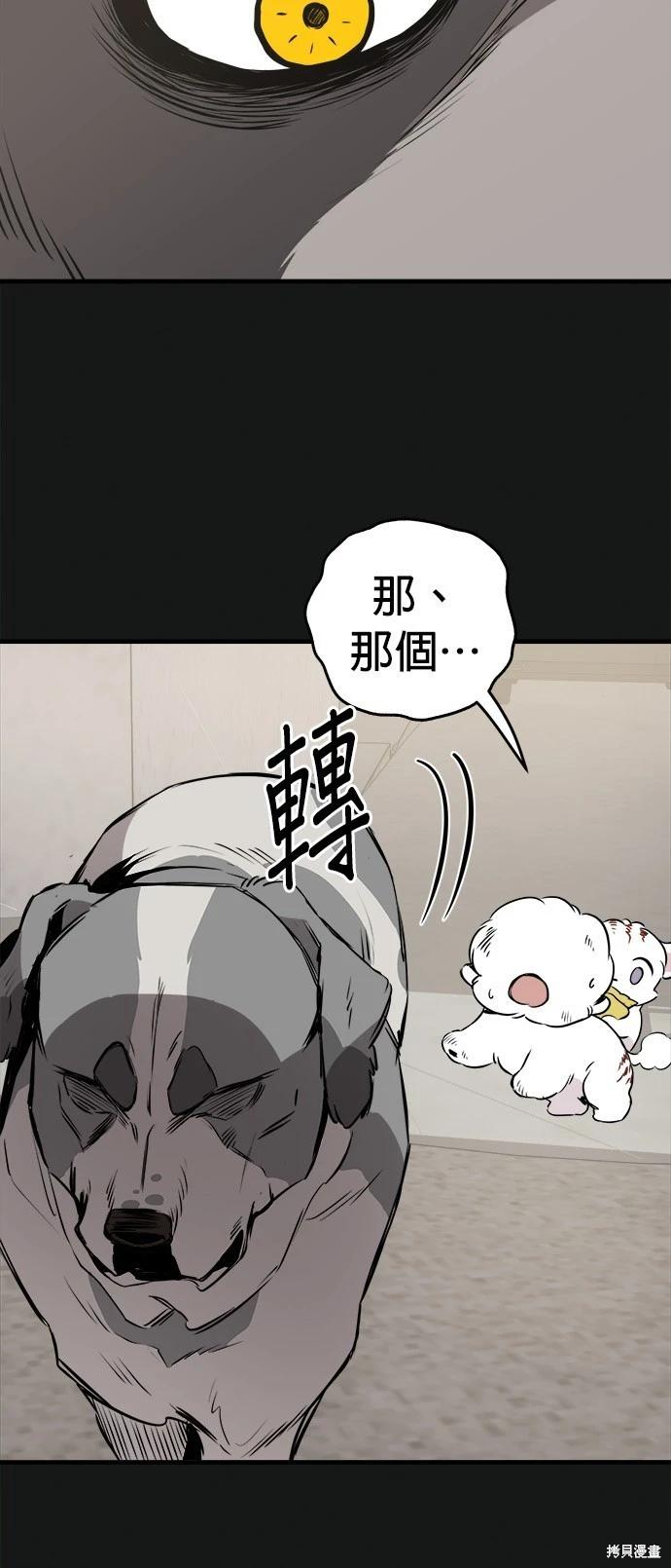 🍸狗狗末日生存法 第19话 第11页