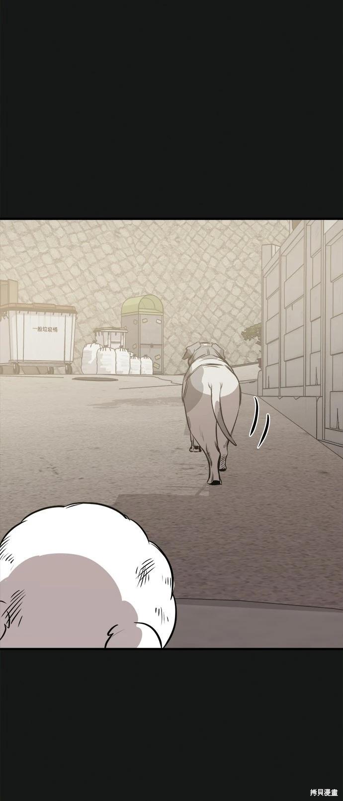 🍸狗狗末日生存法 第19话 第12页