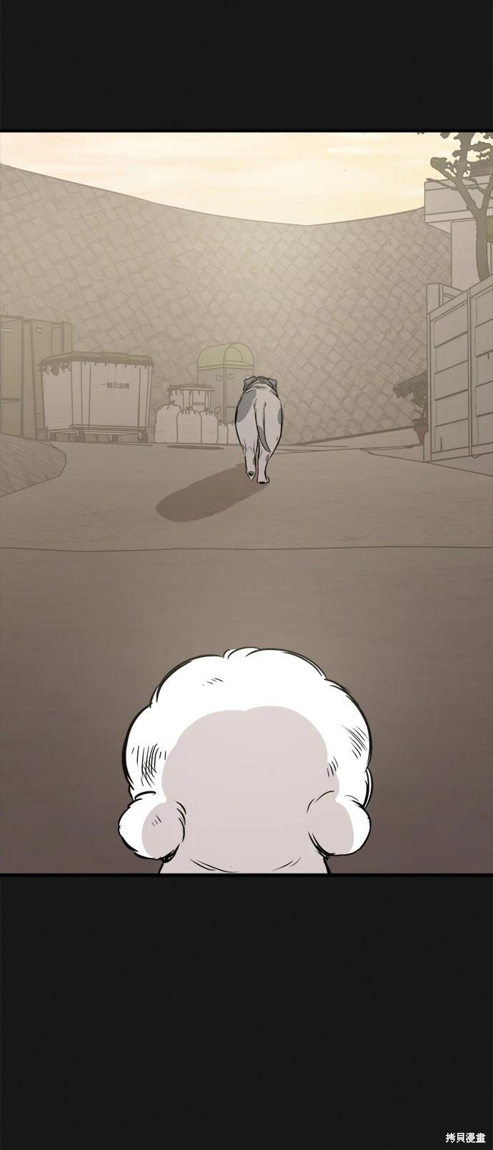 🍸狗狗末日生存法 第19话 第16页