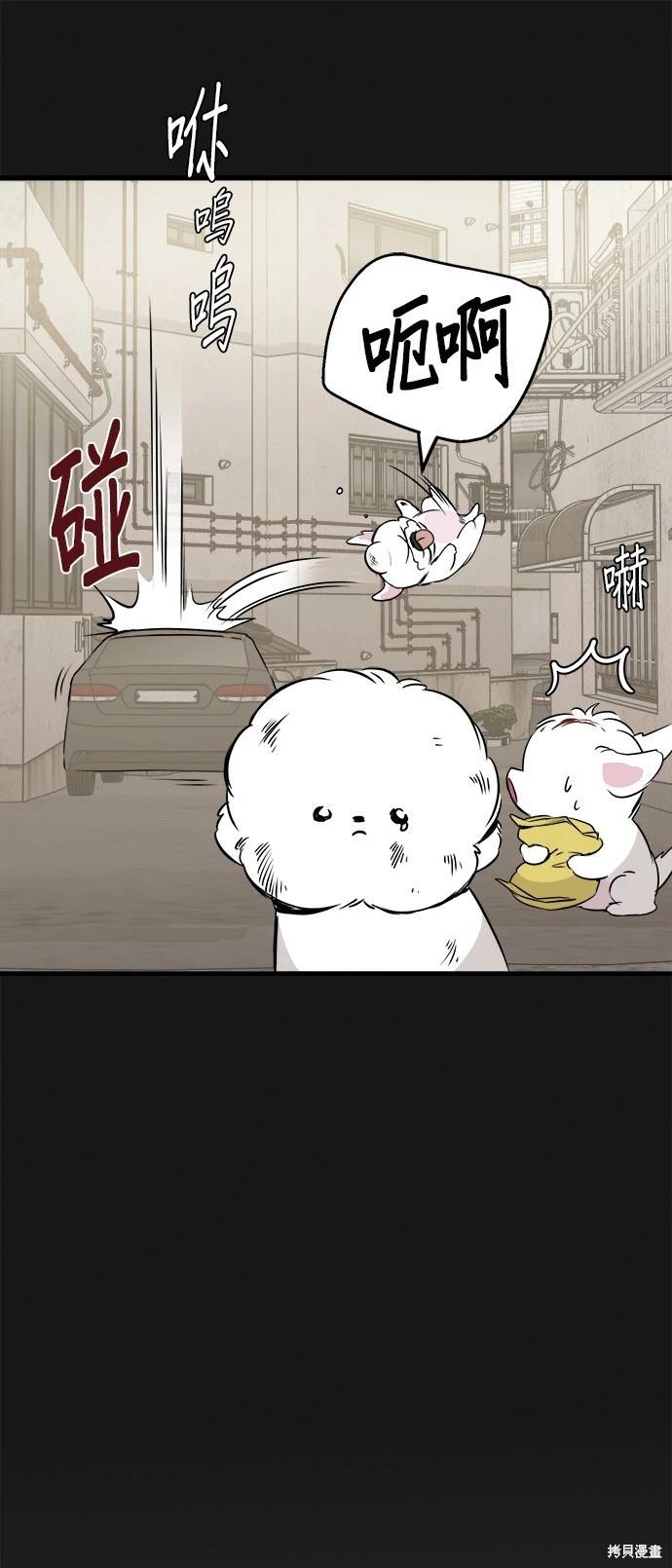 🍸狗狗末日生存法 第19话 第17页