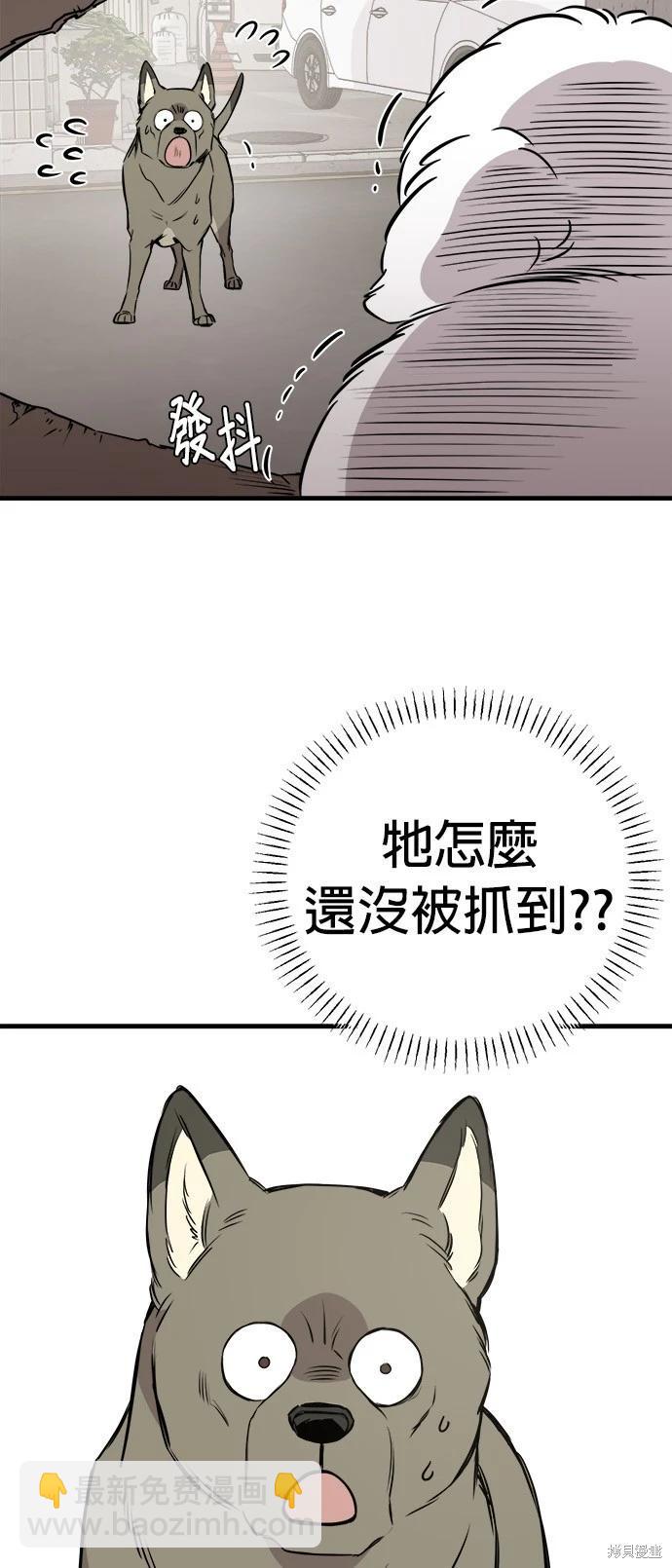 🍸狗狗末日生存法 第19话 第19页