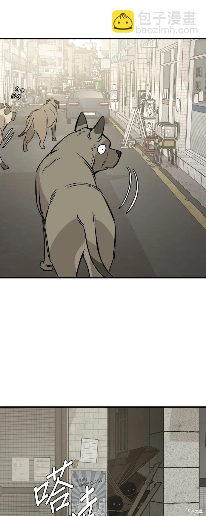 🍸狗狗末日生存法 第19话 第46页