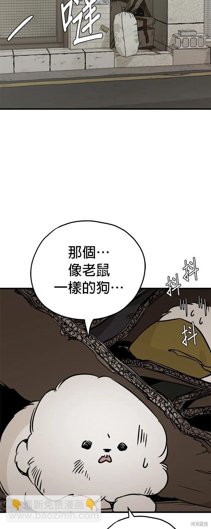 🍸狗狗末日生存法 第19话 第47页