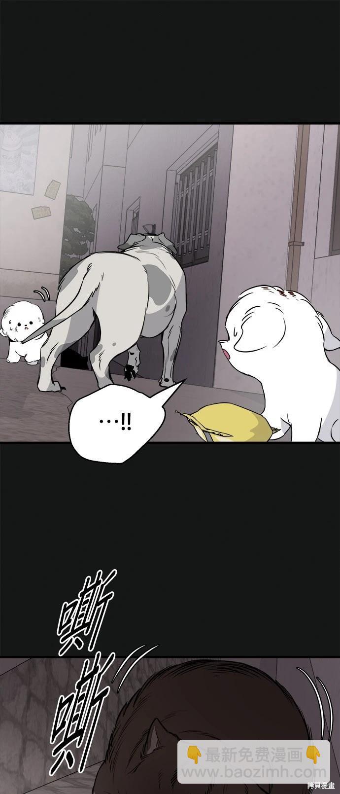 🍸狗狗末日生存法 第19话 第5页