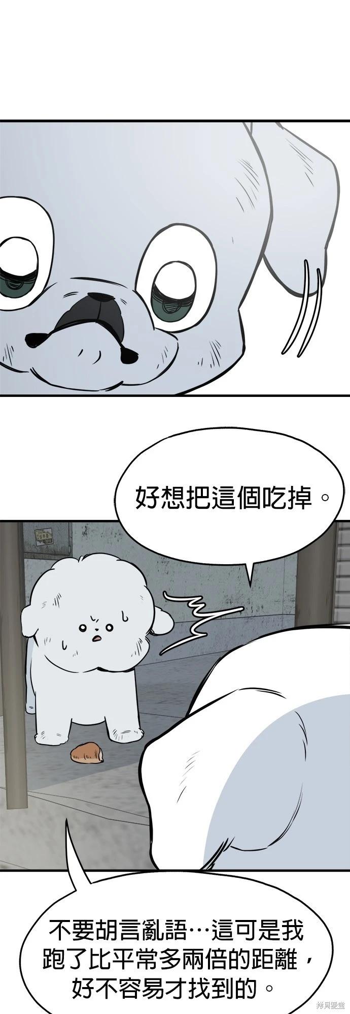 🍸狗狗末日生存法 第24话 第10页
