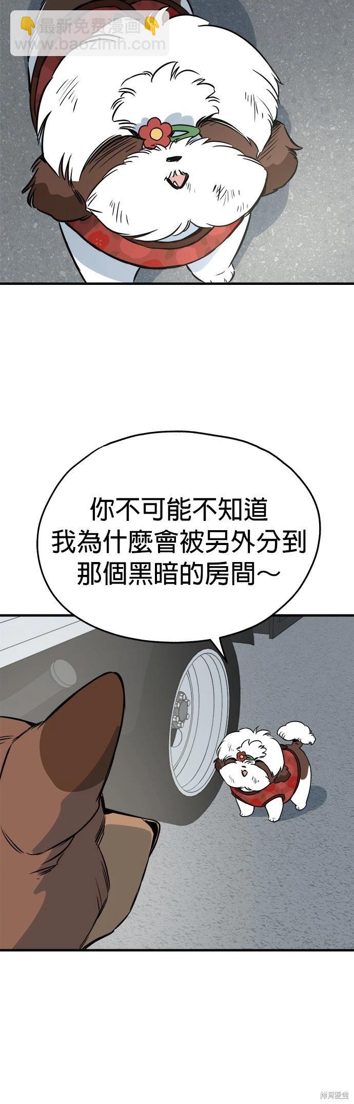 🍸狗狗末日生存法 第24话 第23页