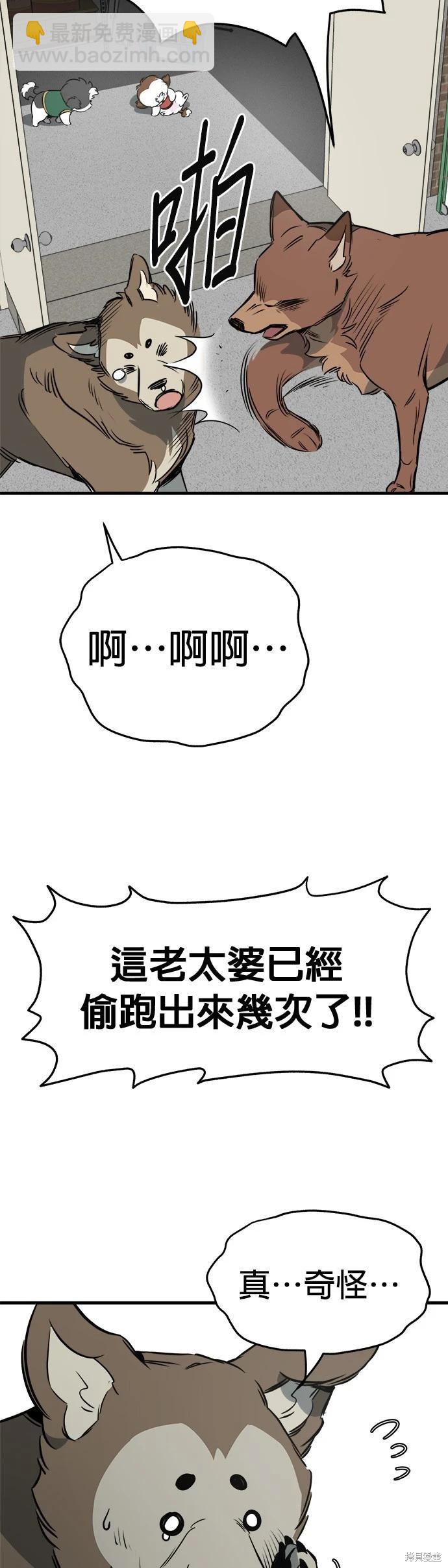 🍸狗狗末日生存法 第24话 第32页
