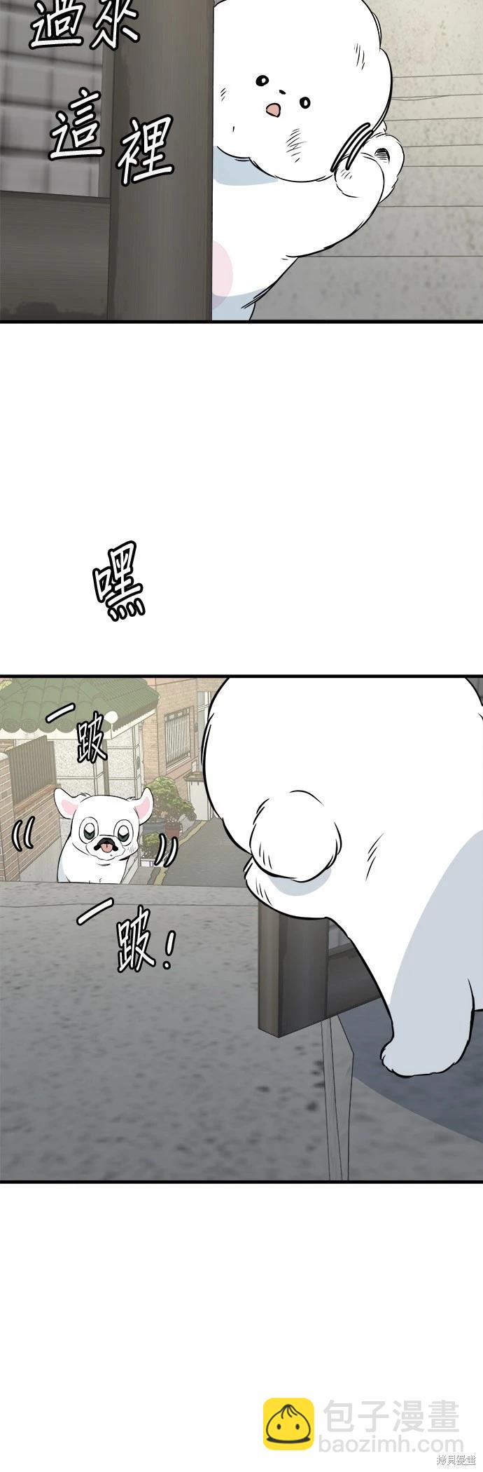 🍸狗狗末日生存法 第24话 第6页