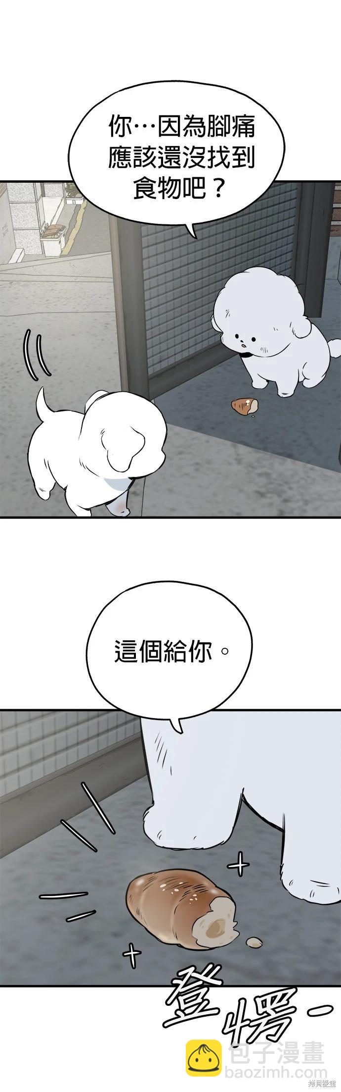 🍸狗狗末日生存法 第24话 第7页