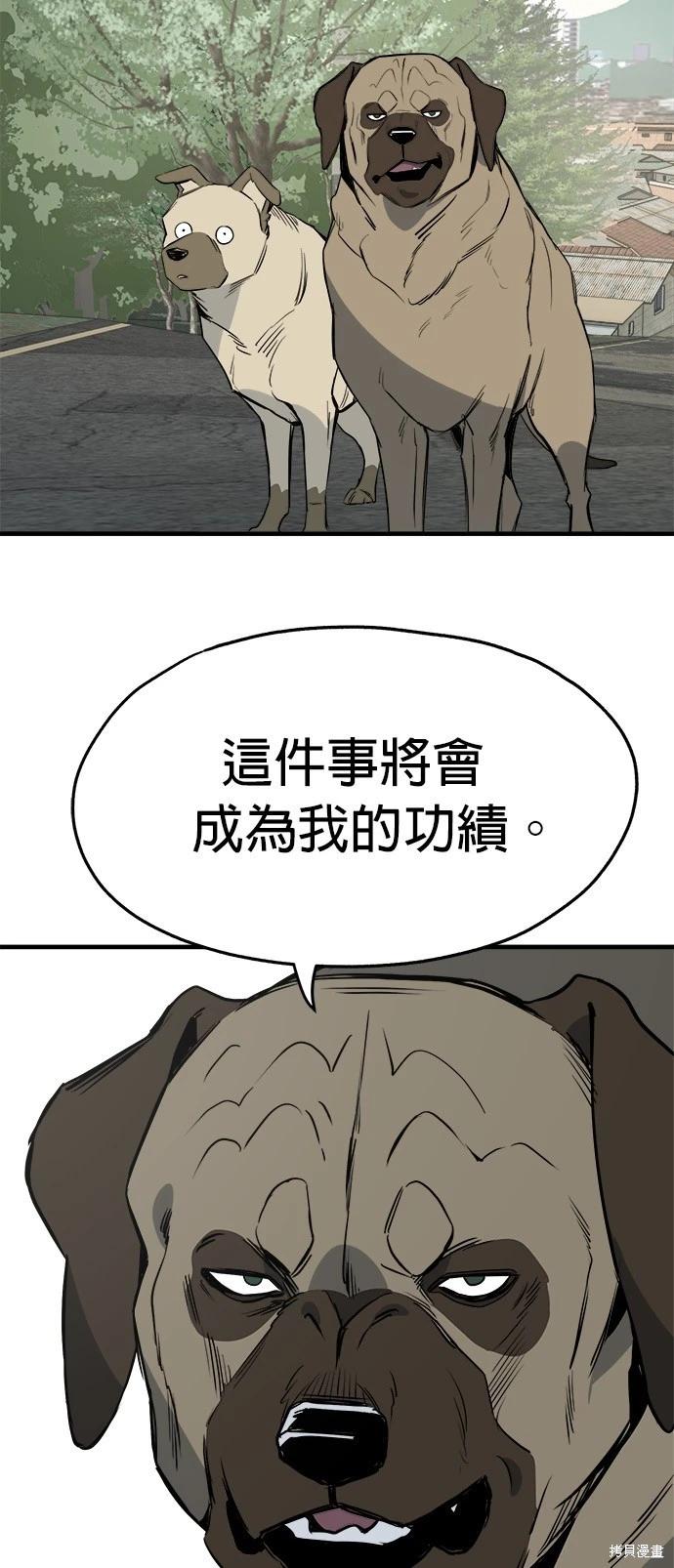🍸狗狗末日生存法 第26话 第13页