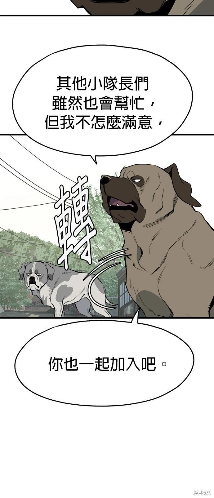 🍸狗狗末日生存法 第26话 第14页