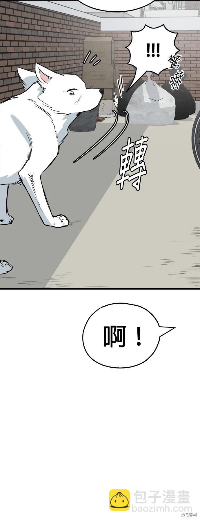 🍸狗狗末日生存法 第28话 第32页