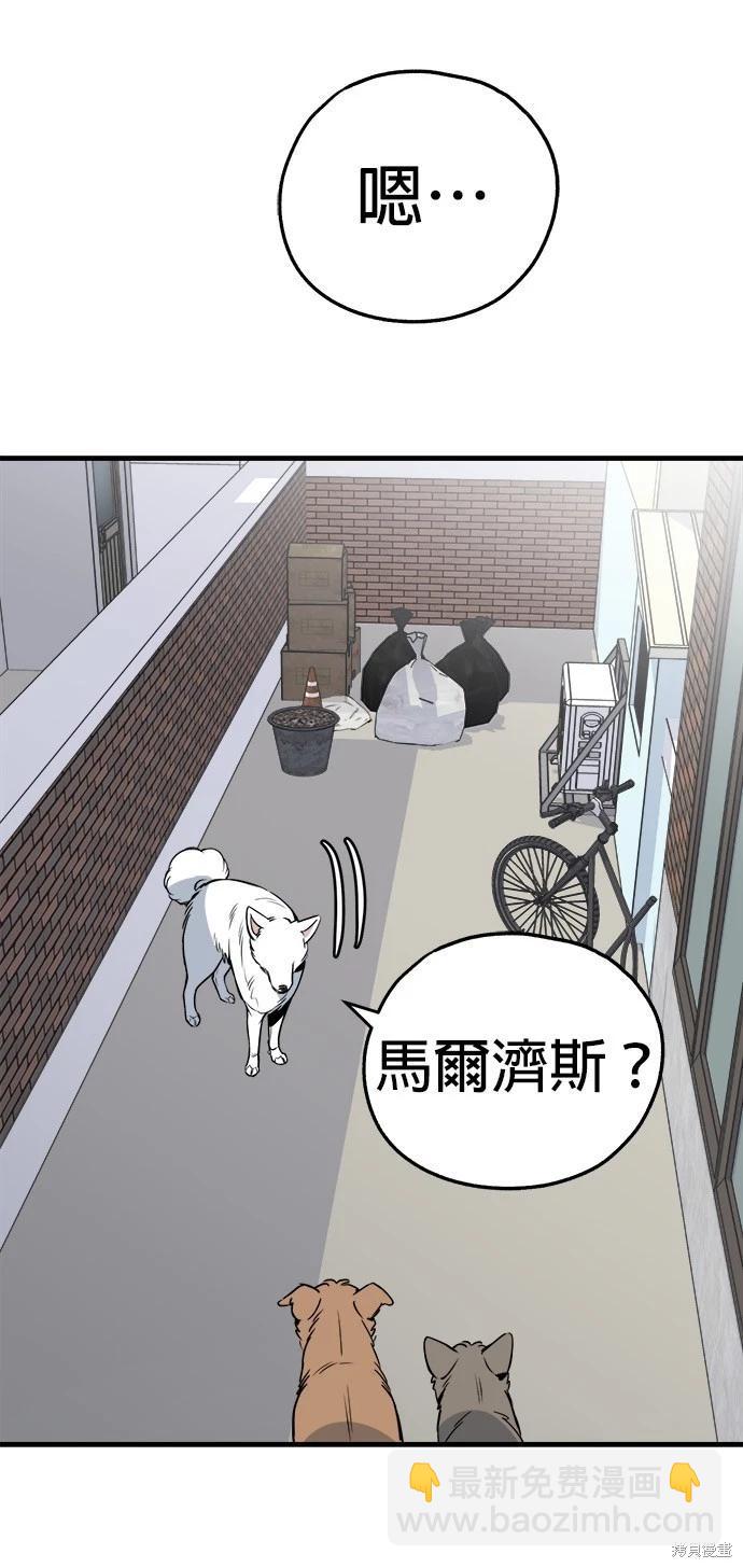 🍸狗狗末日生存法 第28话 第37页