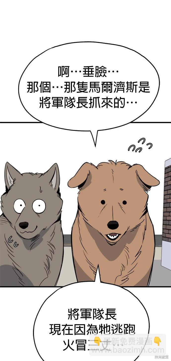 🍸狗狗末日生存法 第28话 第39页