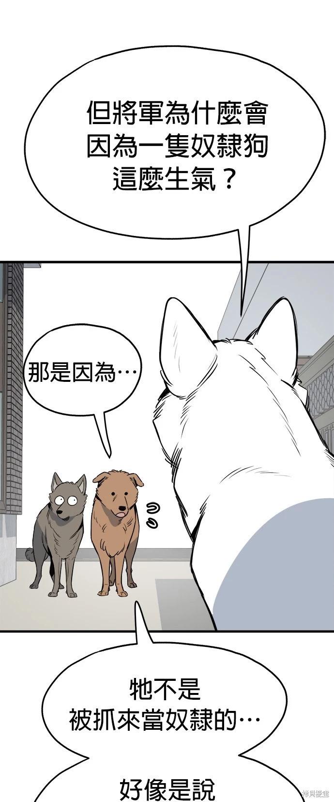 🍸狗狗末日生存法 第28话 第41页