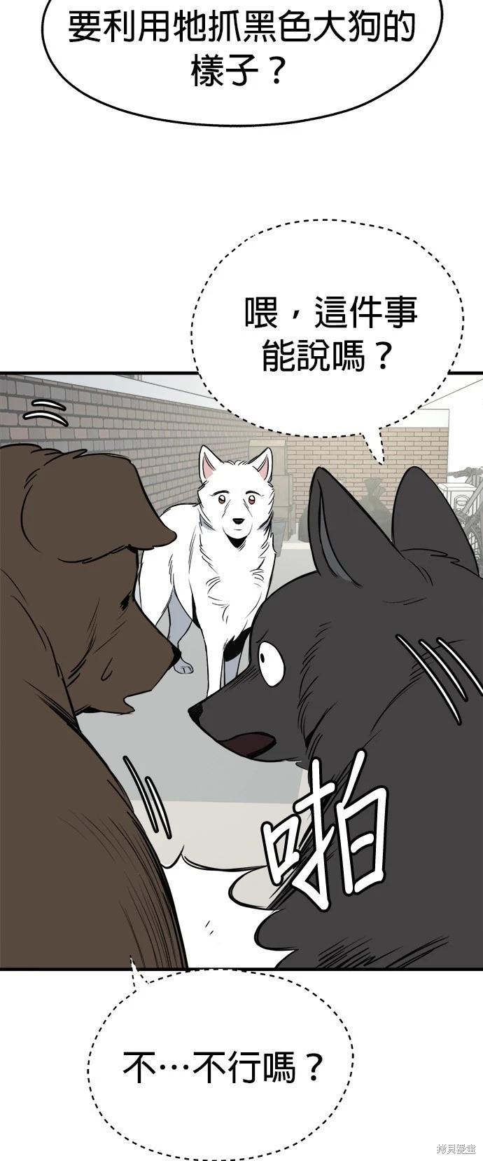 🍸狗狗末日生存法 第28话 第42页