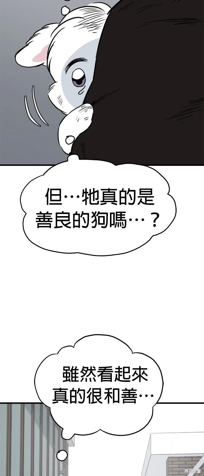 🍸狗狗末日生存法 第28话 第46页