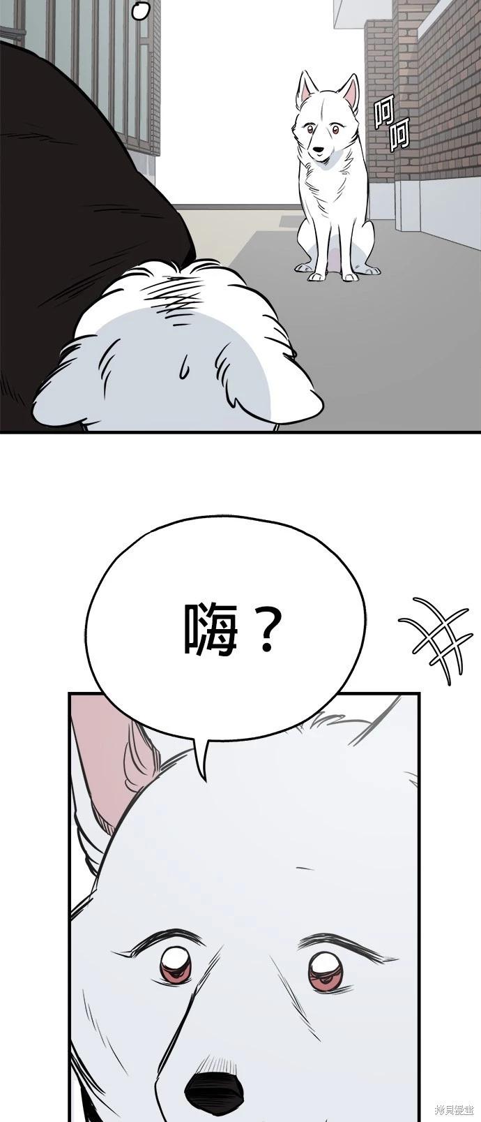 🍸狗狗末日生存法 第28话 第47页