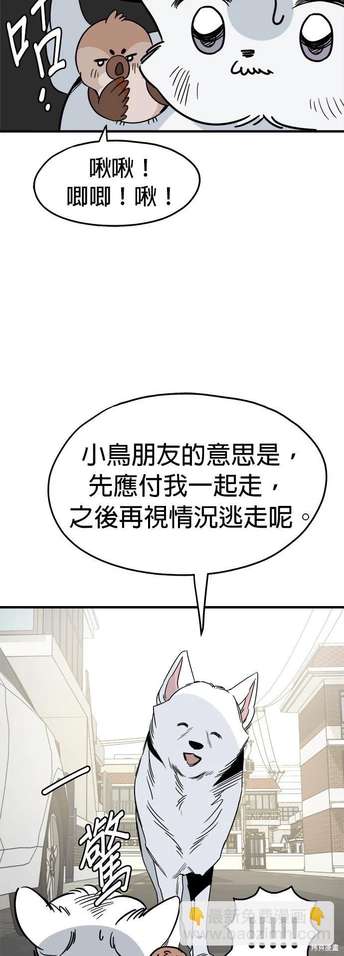 🍸狗狗末日生存法 第30话 第14页