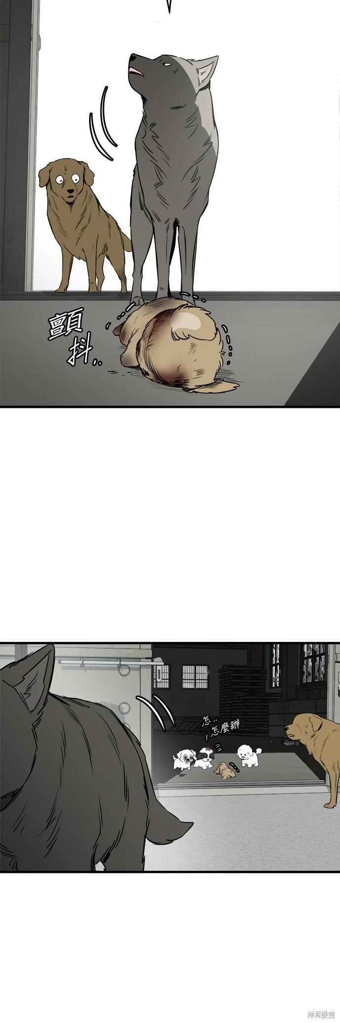 🍸狗狗末日生存法 第30话 第26页