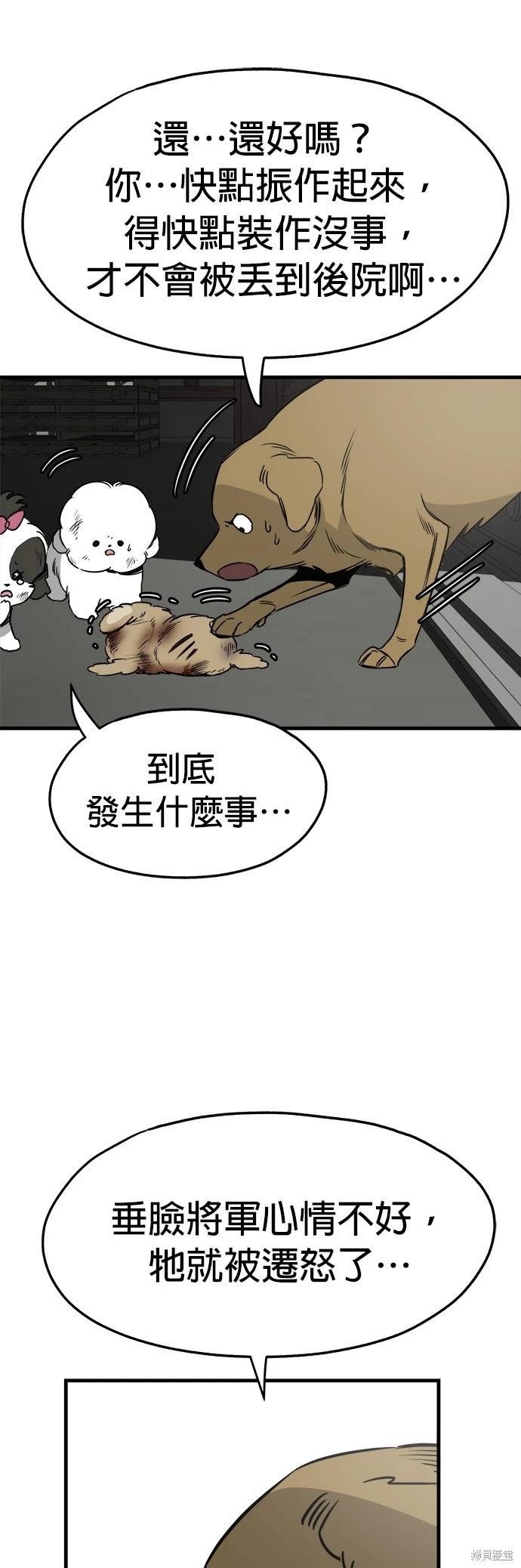 🍸狗狗末日生存法 第30话 第27页