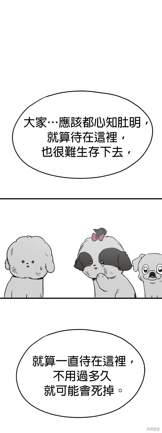🍸狗狗末日生存法 第30话 第33页