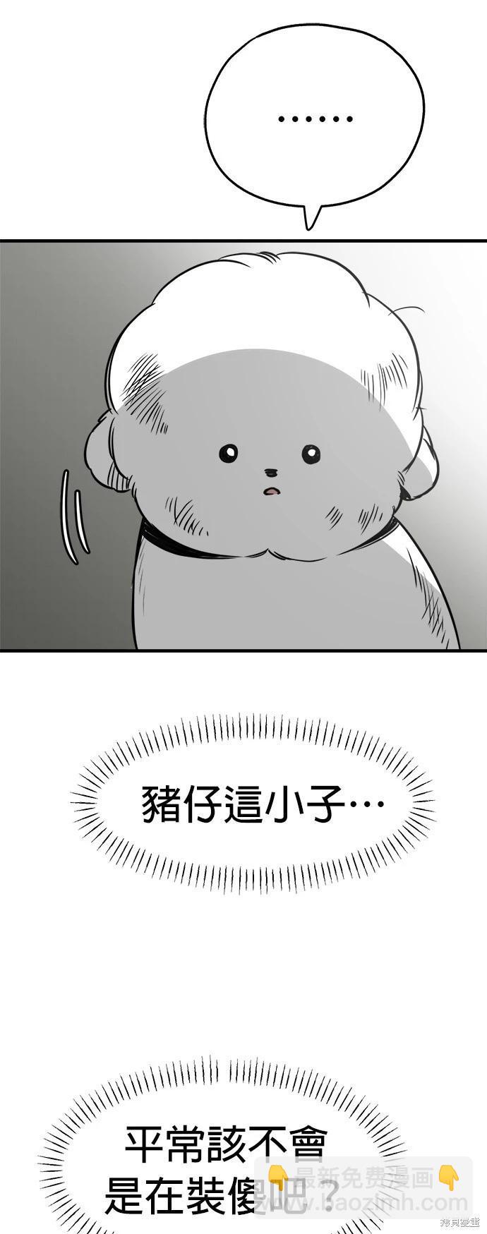 🍸狗狗末日生存法 第30话 第41页