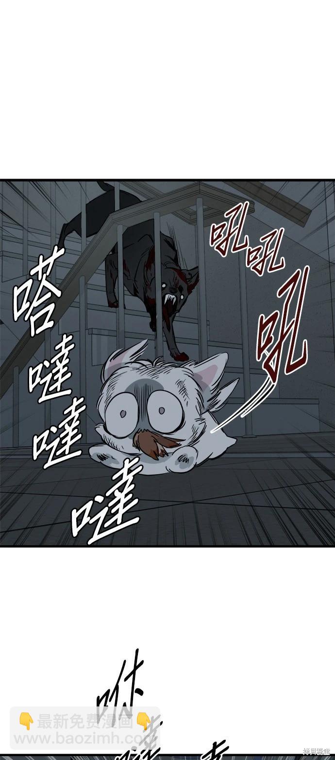 🍸狗狗末日生存法 第32话 第13页