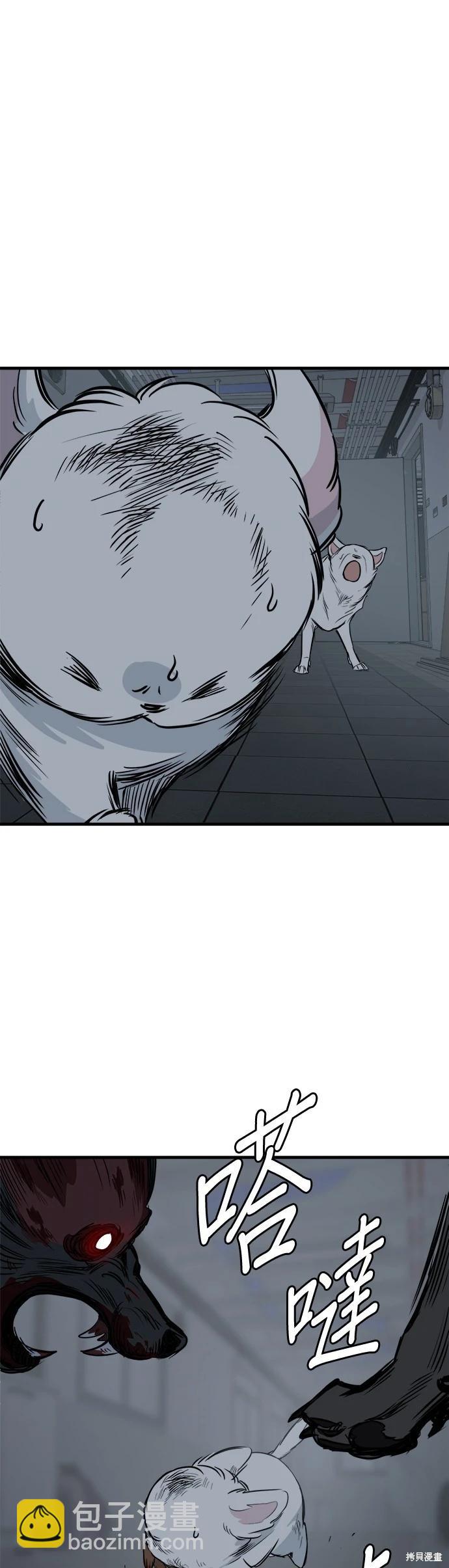 🍸狗狗末日生存法 第32话 第38页
