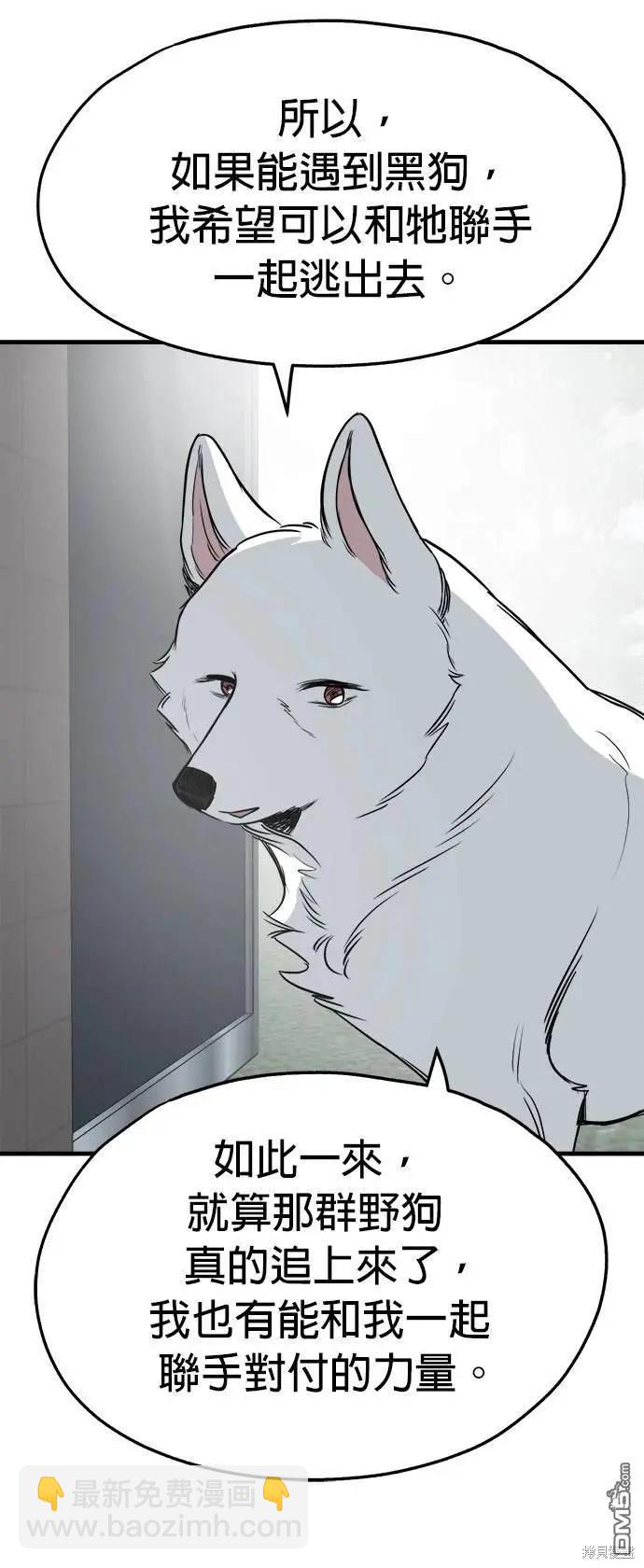 🍸狗狗末日生存法 第34话 第17页